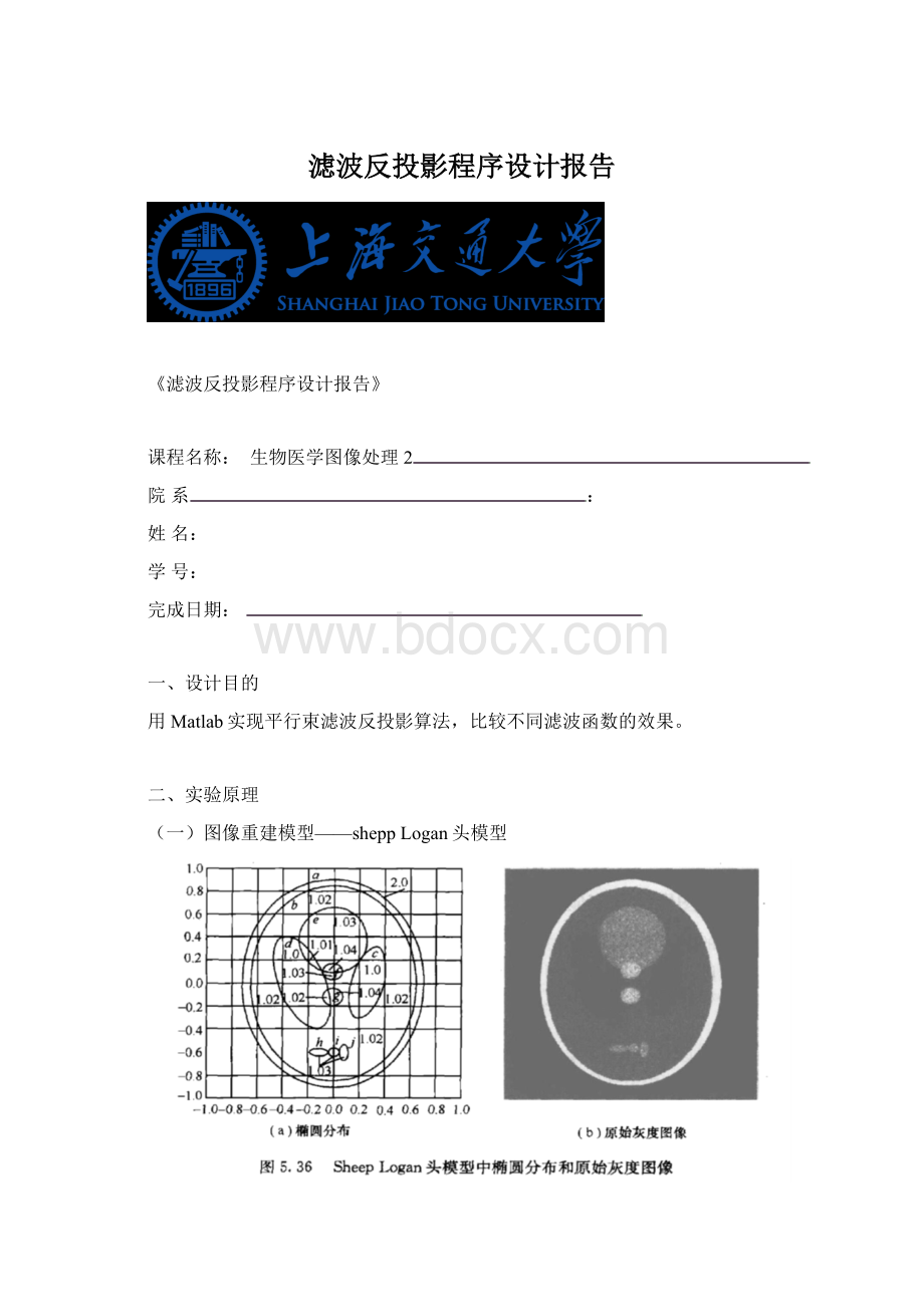 滤波反投影程序设计报告.docx