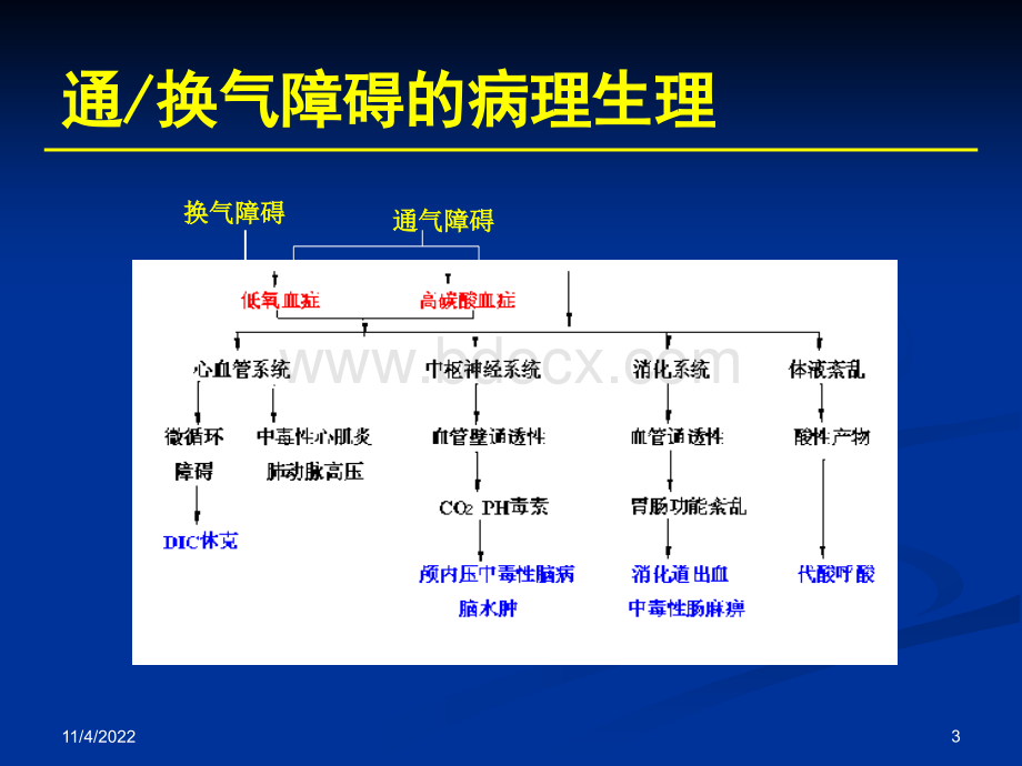 辅助呼吸技术.ppt_第3页