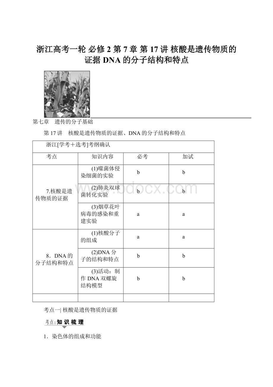 浙江高考一轮 必修2 第7章 第17讲 核酸是遗传物质的证据DNA的分子结构和特点.docx