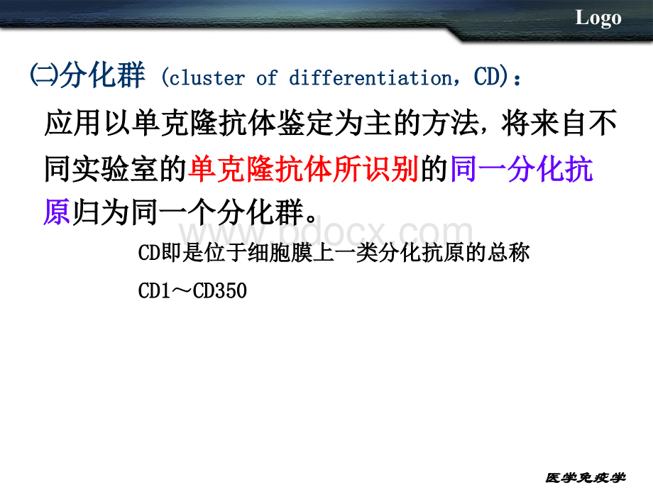 白细胞分化抗原和黏附分MHC.ppt_第3页