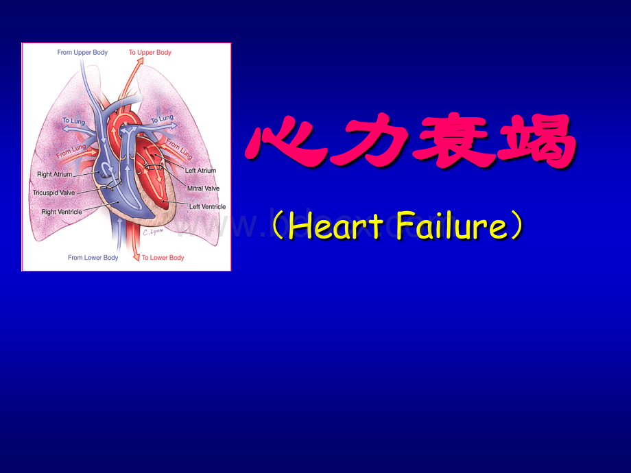 心力衰竭课件(目前最漂亮的课件).ppt_第1页