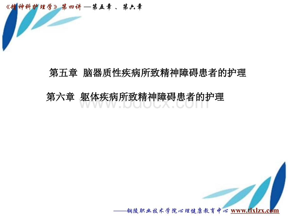 陈树《精神科护理学》第四讲PPT文档格式.ppt_第2页