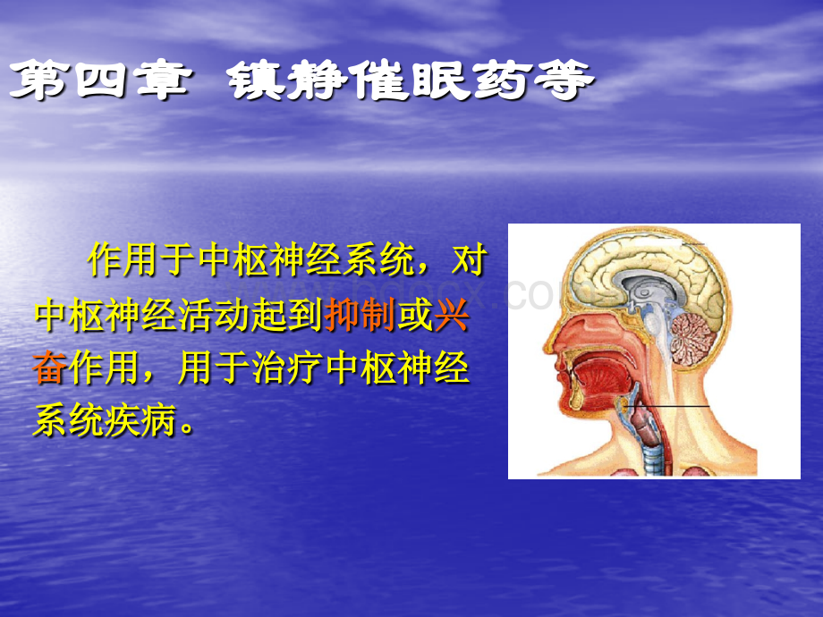 第四章镇静催眠药等PPT文件格式下载.ppt_第1页