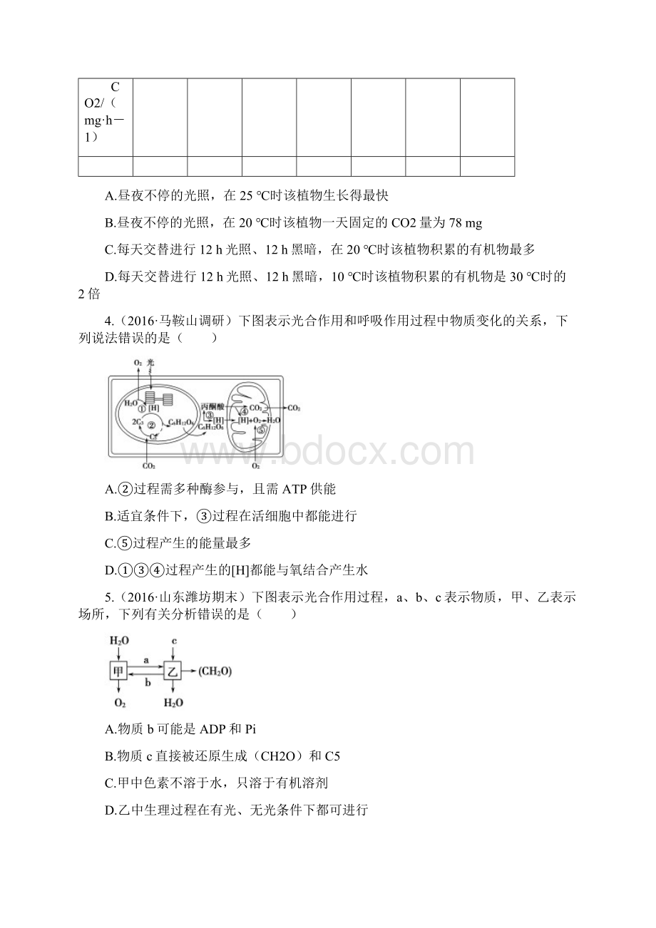 高三复习试题生物专题六 光合作用.docx_第2页