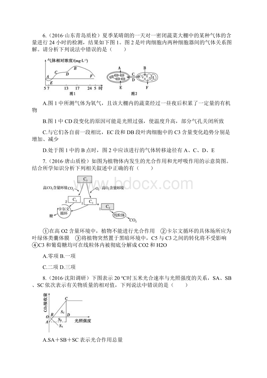 高三复习试题生物专题六 光合作用.docx_第3页