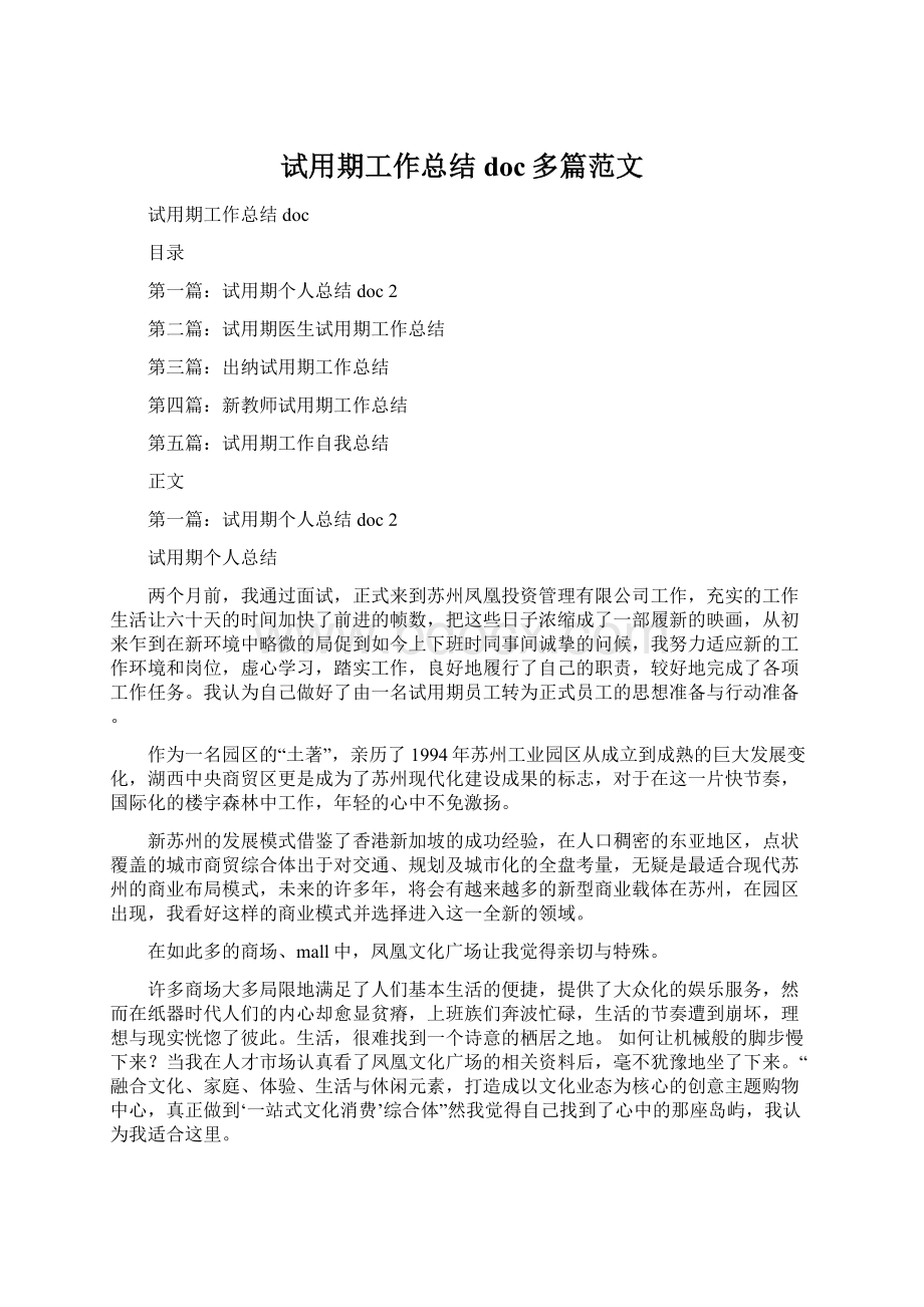 试用期工作总结 doc多篇范文Word格式文档下载.docx