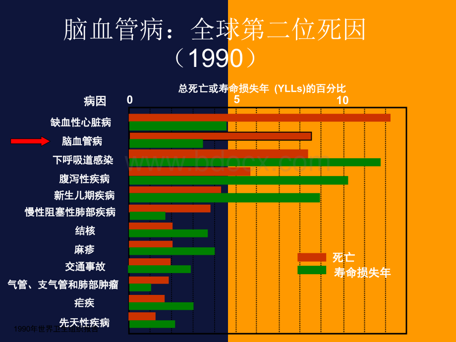 脑血管病规范与治疗PPT文件格式下载.ppt_第3页