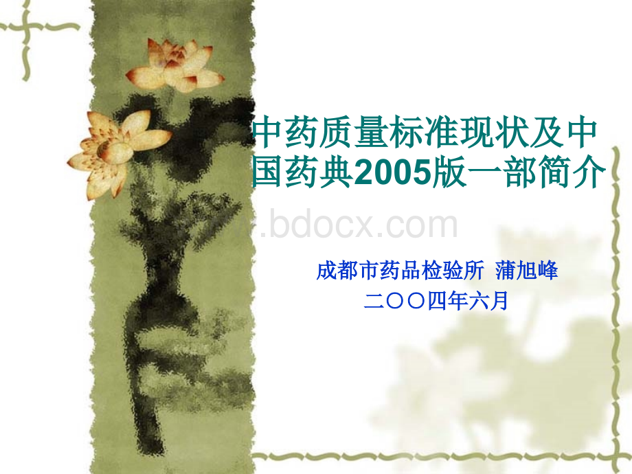 中药质量标准与05版药典.ppt_第1页