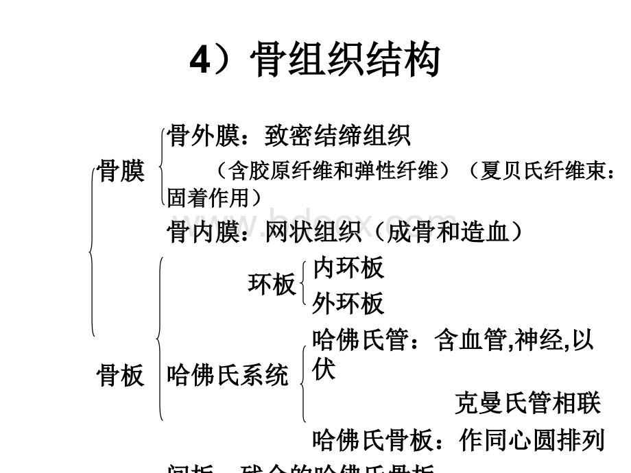 组织胚胎学-组织(tang2007)3.ppt_第2页