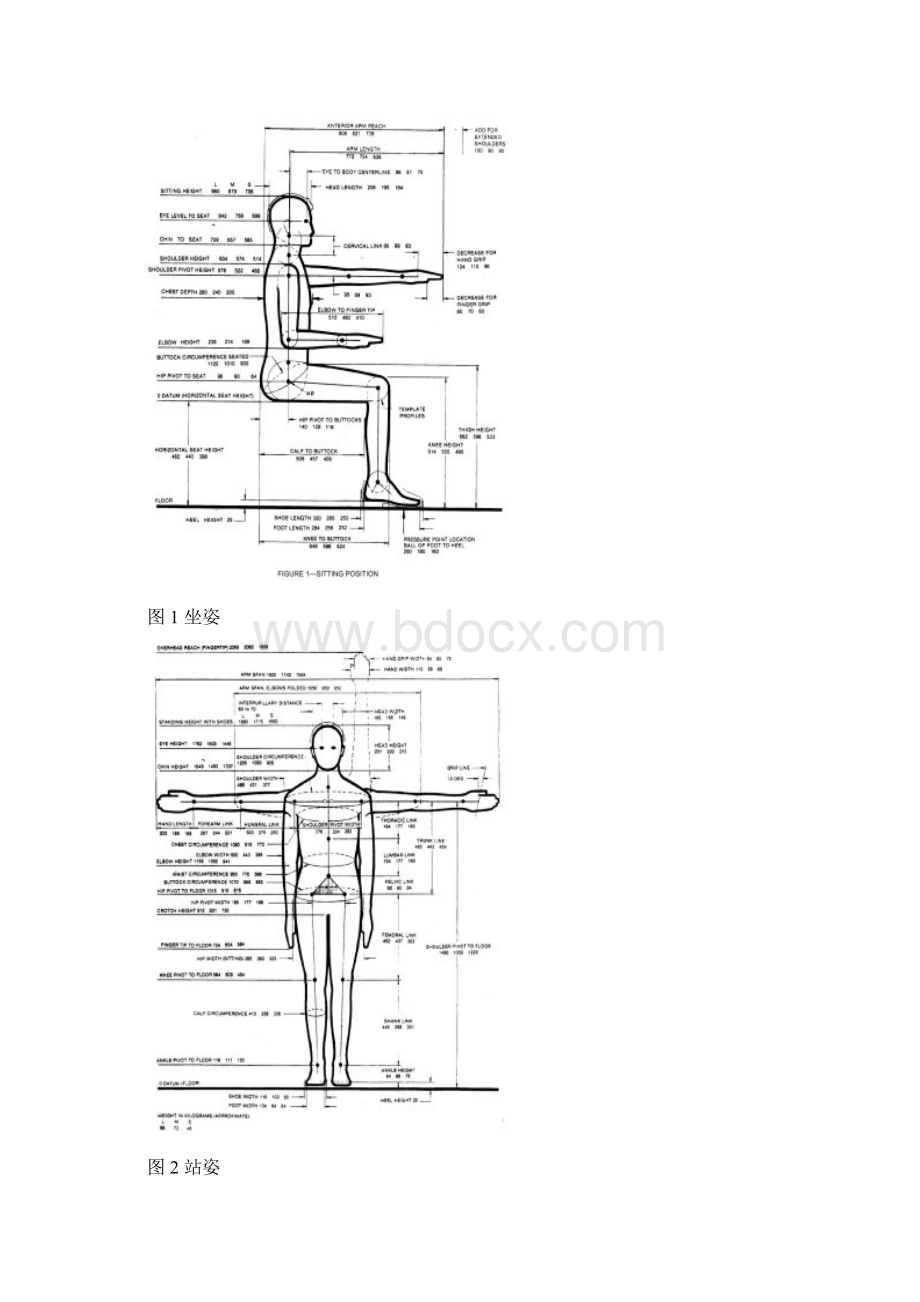 saej833美国假人尺寸标准Word文档格式.docx_第2页