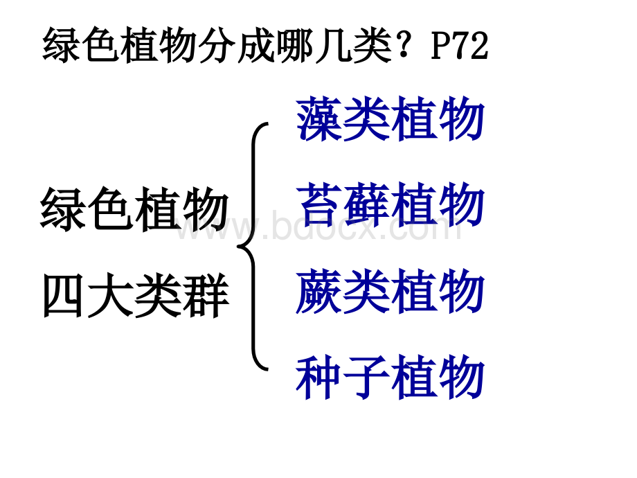 第三单元生物圈中的绿色植物总复习PPT推荐.ppt_第3页