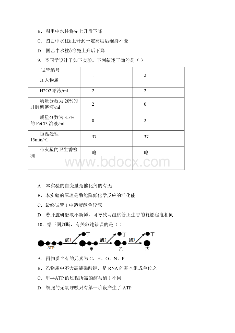 学年高一下学期升级考试期末生物试题含答案解析文档格式.docx_第3页