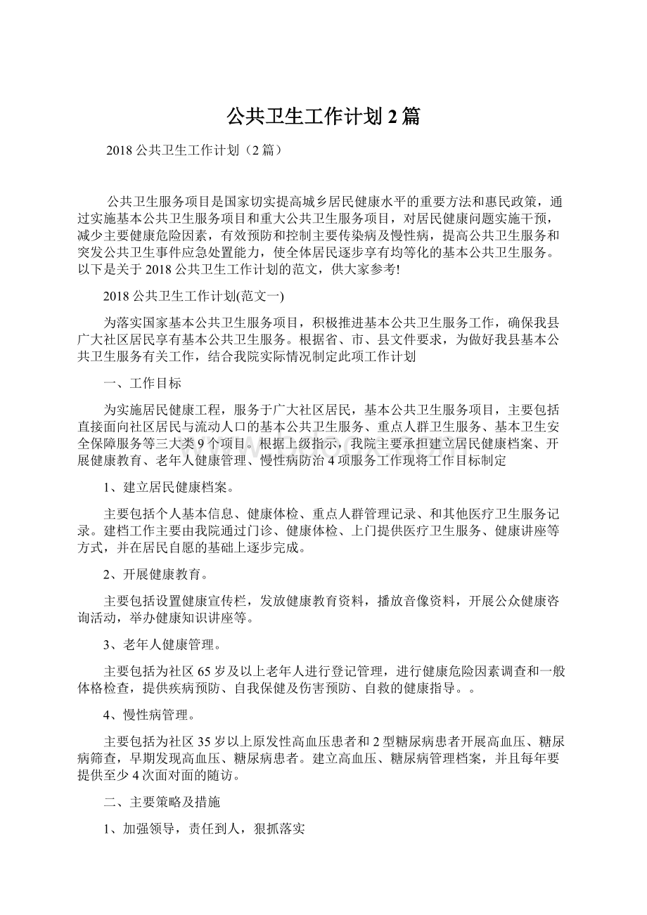 公共卫生工作计划2篇Word文档格式.docx