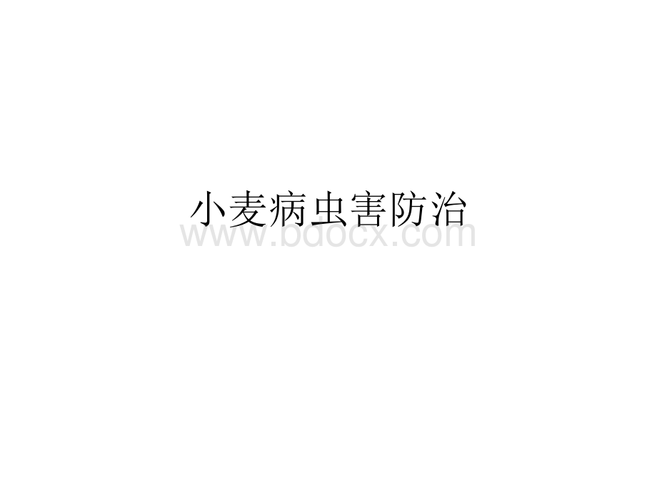 小麦病虫害防治.ppt