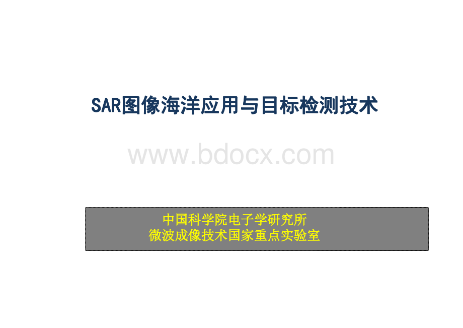 SAR图像海洋应用与目标检测技术.pdf