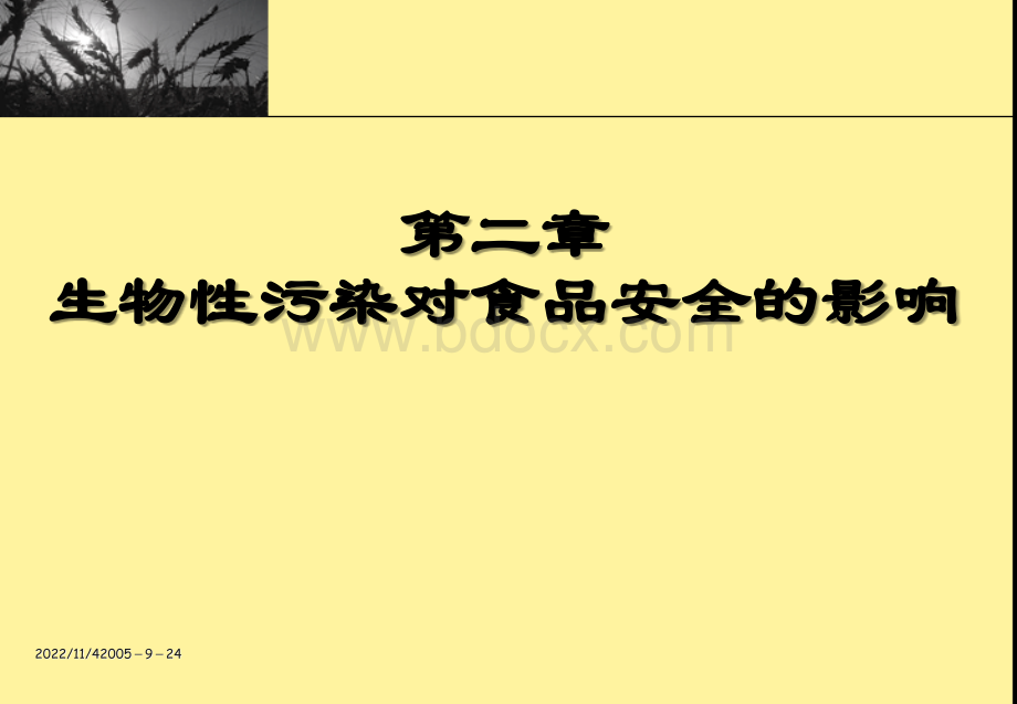 第二章生物性污染对食品安全的影响3(4个课时).ppt_第1页