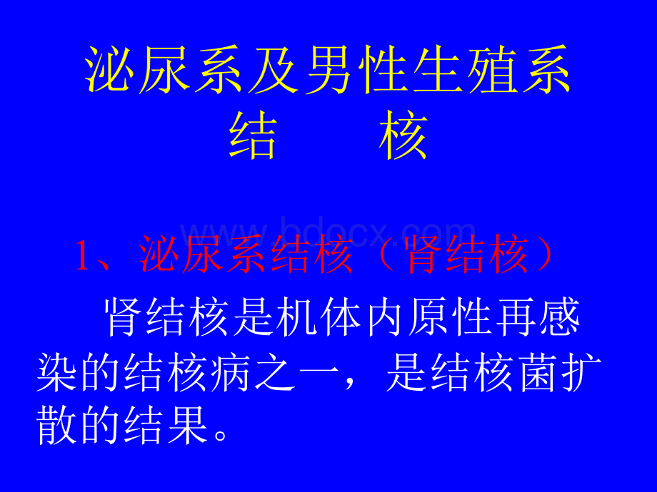 泌尿系及男性生殖系结核PPT课件下载推荐.ppt