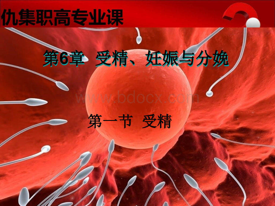 第6章受精妊娠与分娩第一节受精(一).ppt