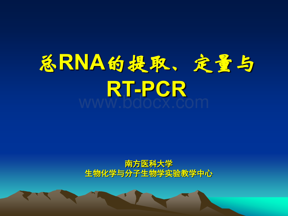 总RNA的提取和RT-PCR.ppt