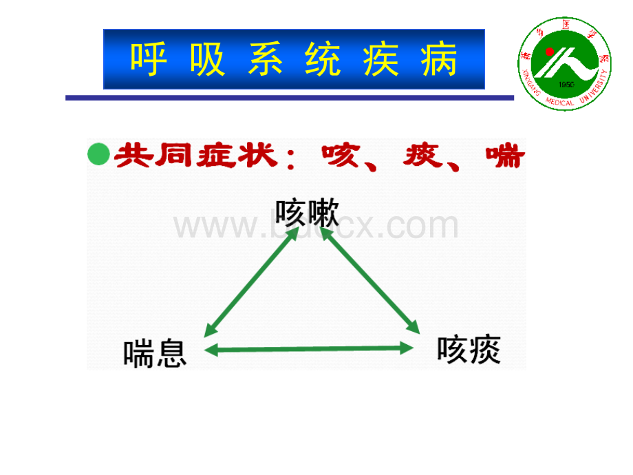 作用于呼吸系统的药物1学时PPT课件下载推荐.ppt_第3页