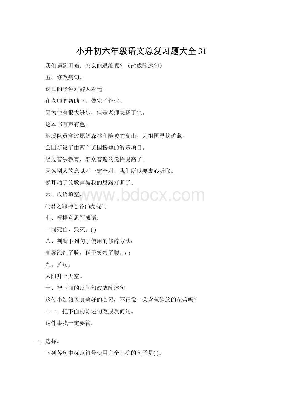 小升初六年级语文总复习题大全31.docx