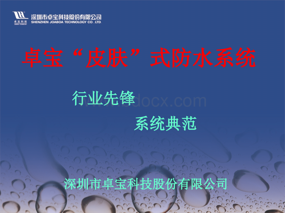 皮肤式防水讲稿未改.ppt