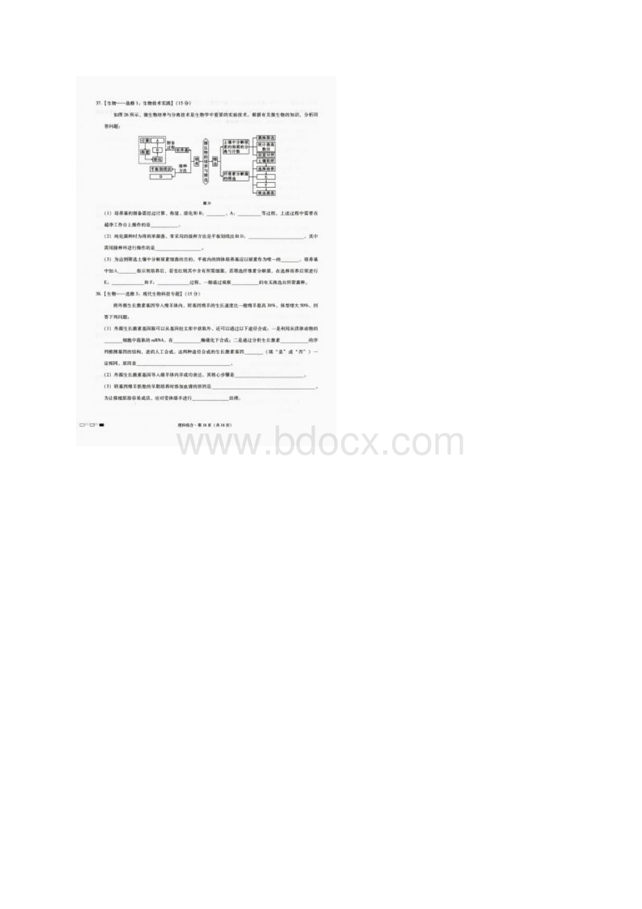 西南名校联盟届高三适应性月考卷八理综生物试题+扫描版含答案Word文档下载推荐.docx_第3页
