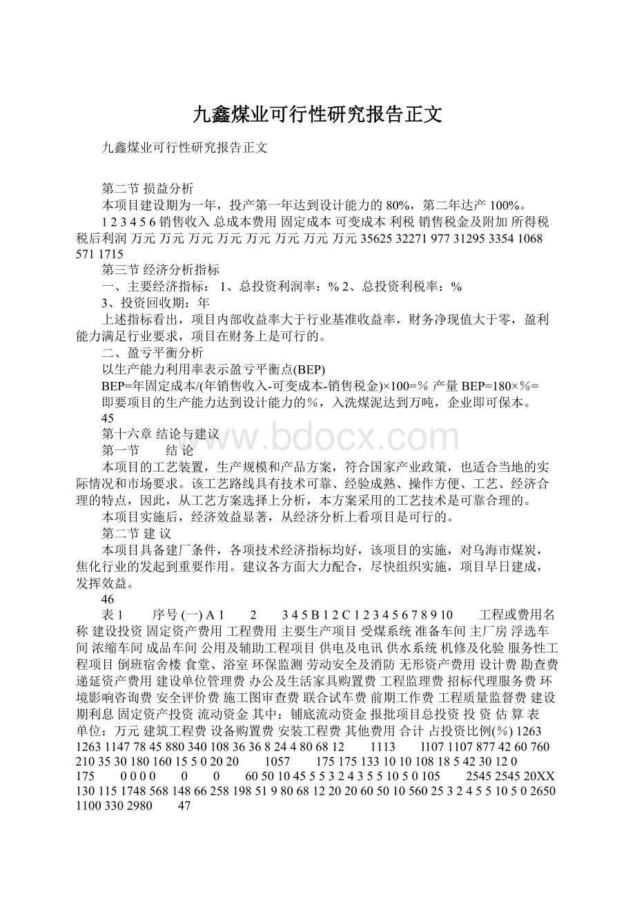 九鑫煤业可行性研究报告正文文档格式.docx