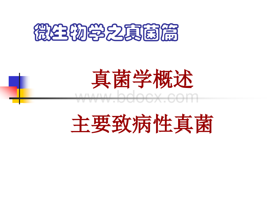 真菌PPT文件格式下载.ppt