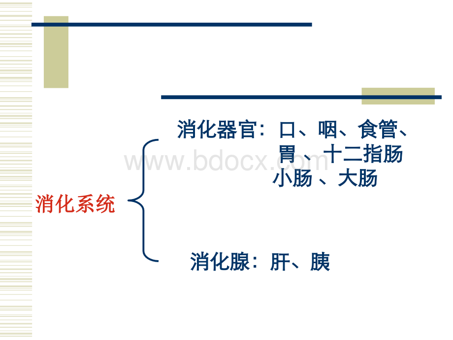 消化系统疾病--蚌埠医学院.ppt_第2页