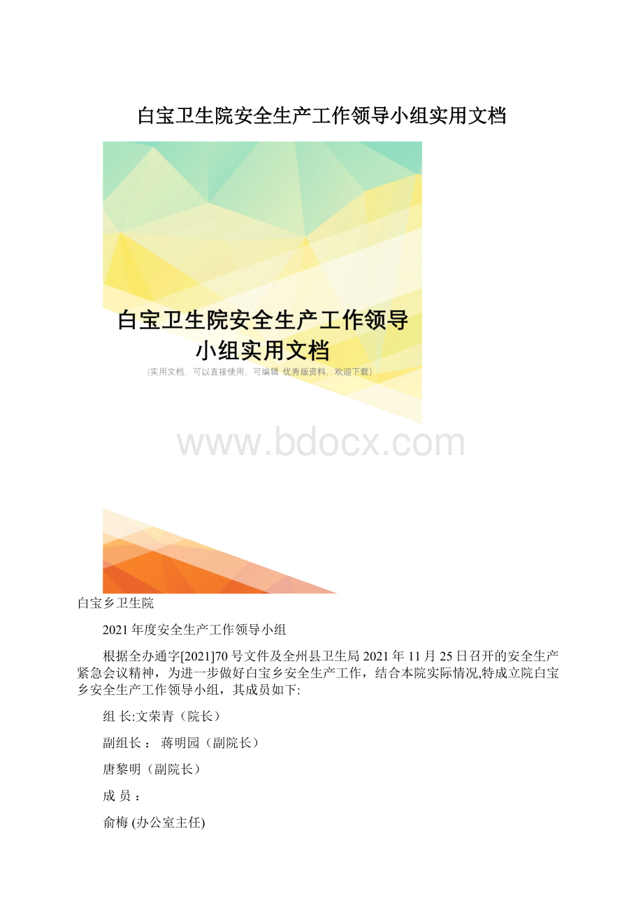 白宝卫生院安全生产工作领导小组实用文档.docx_第1页