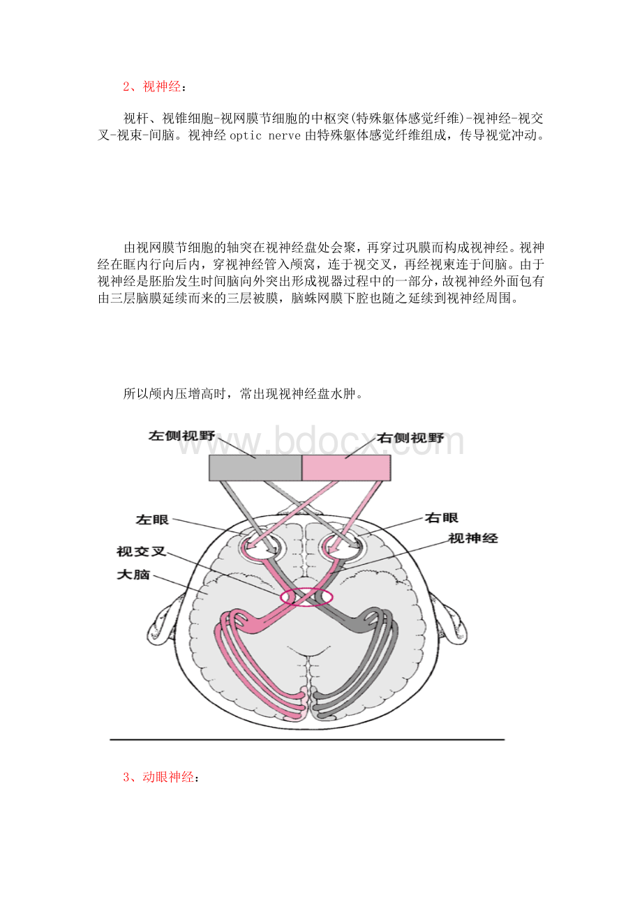 总结十二对脑神经Word下载.doc_第3页