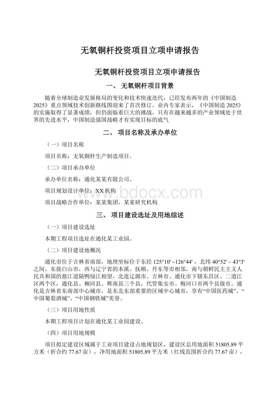 无氧铜杆投资项目立项申请报告Word文档格式.docx