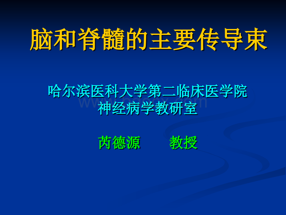 脑和脊髓的主要传导束PPT资料.ppt