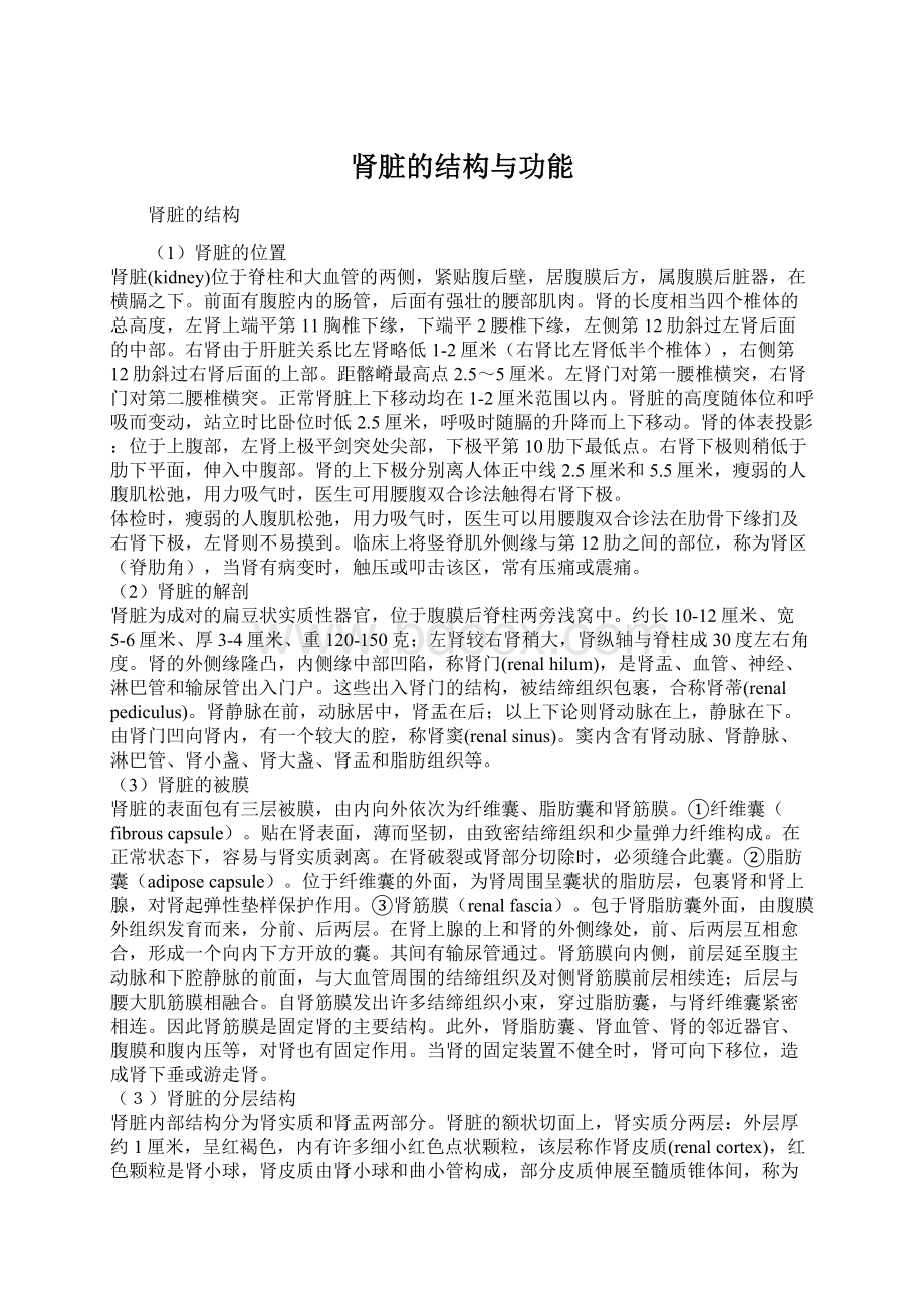 肾脏的结构与功能.docx_第1页