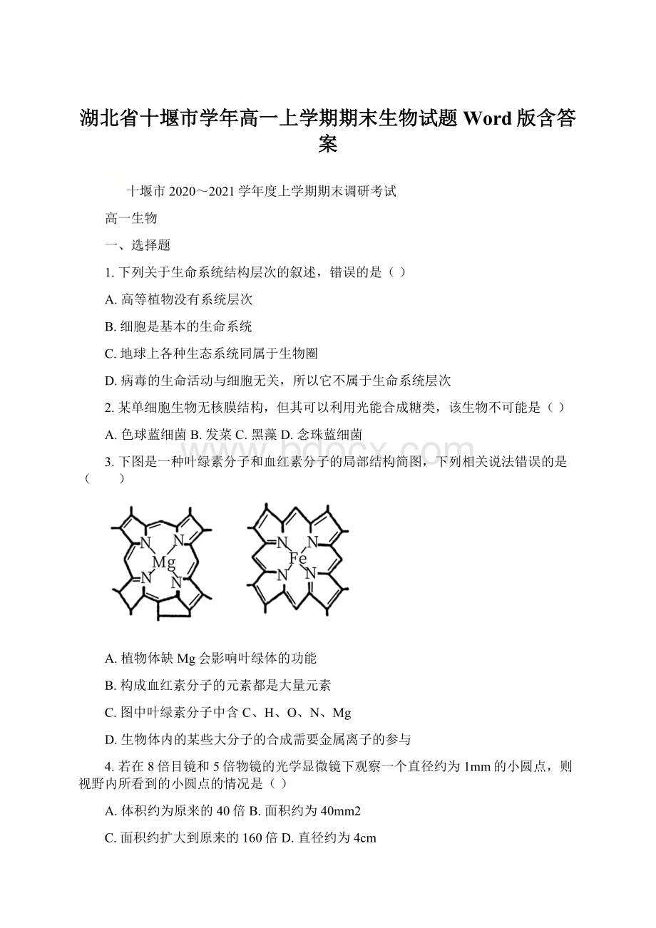 湖北省十堰市学年高一上学期期末生物试题 Word版含答案.docx