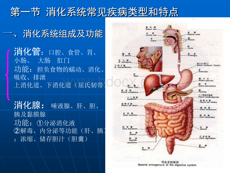 生命健康与医药常识课件7-8章.ppt_第2页