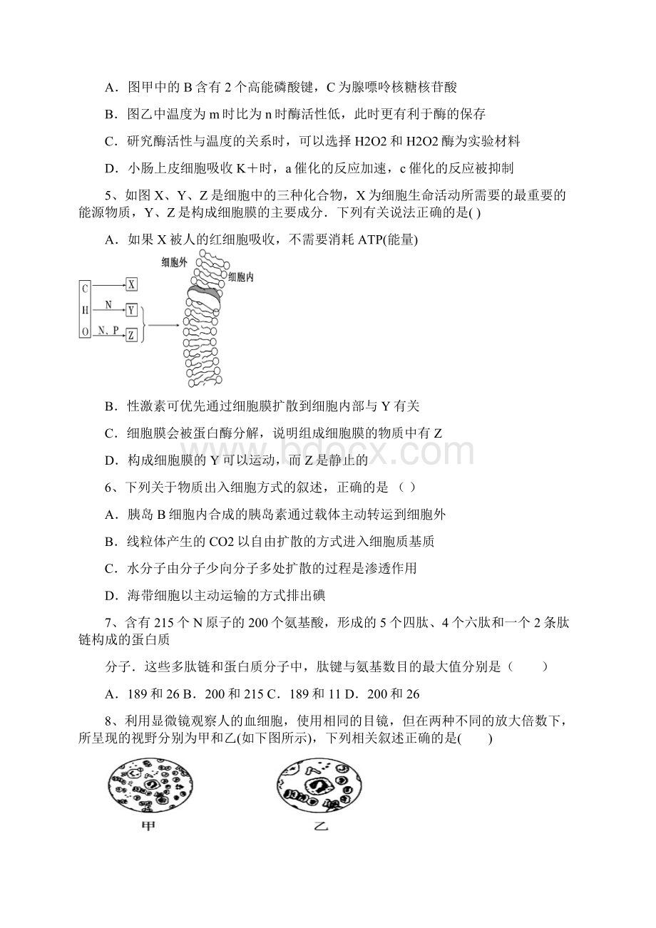 最新人教版高一生物上学期期末检测试题附答案.docx_第2页