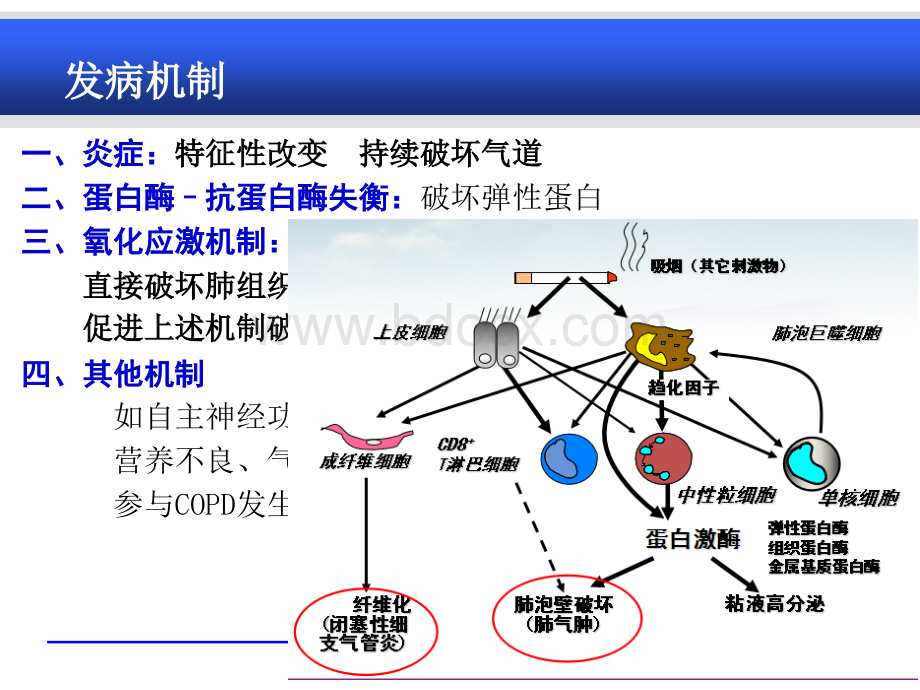 慢阻肺与肺心病(本科内科护理临床部分)PPT推荐.ppt_第3页