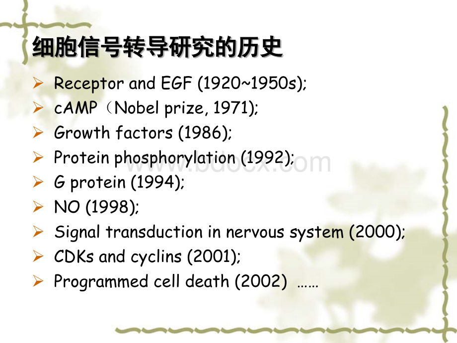 细胞连接与细胞外基质PPT格式课件下载.ppt_第3页