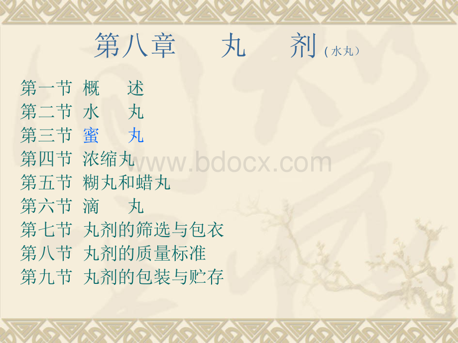 丸剂(水丸)Word文档格式.docx