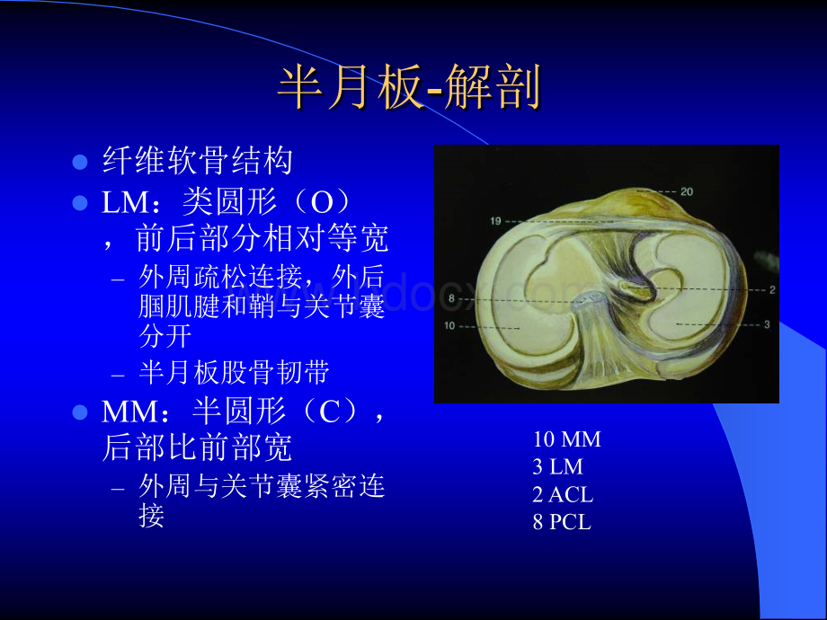 MRI膝关节.ppt_第3页