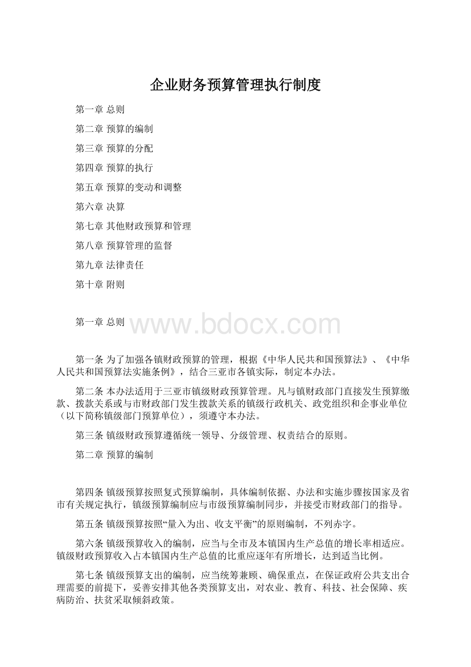 企业财务预算管理执行制度Word格式.docx_第1页