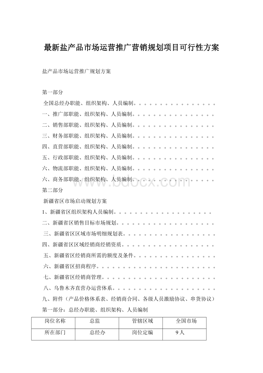 最新盐产品市场运营推广营销规划项目可行性方案Word文件下载.docx