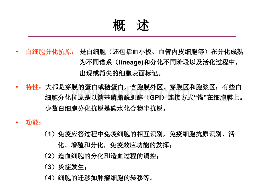 白细胞分化抗原和粘附分子PPT文件格式下载.ppt_第2页