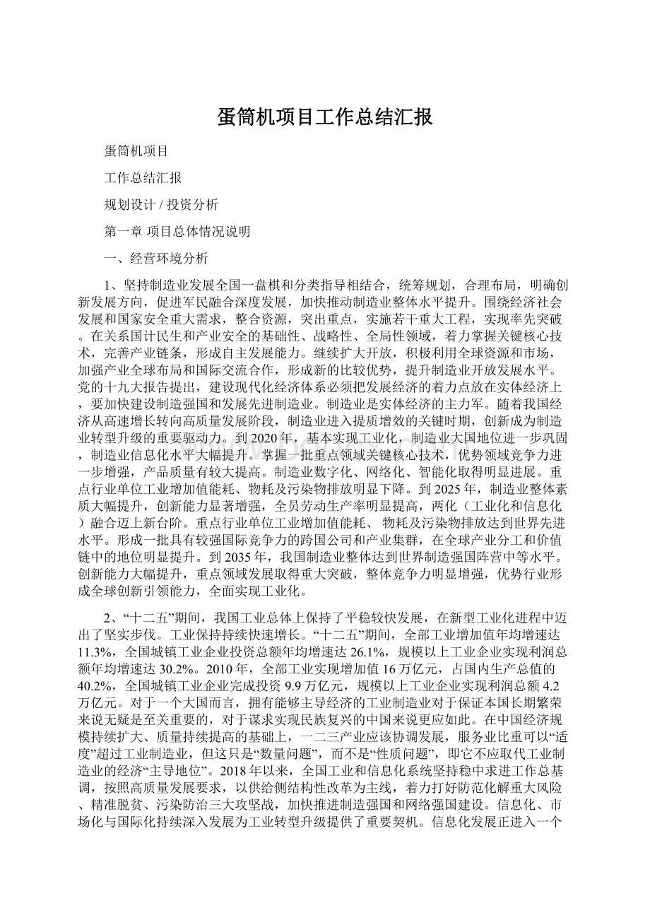 蛋筒机项目工作总结汇报.docx