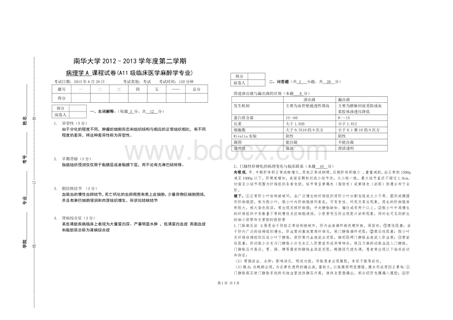 南华大学2013病理学课程试卷A3格式Word文件下载.doc_第1页