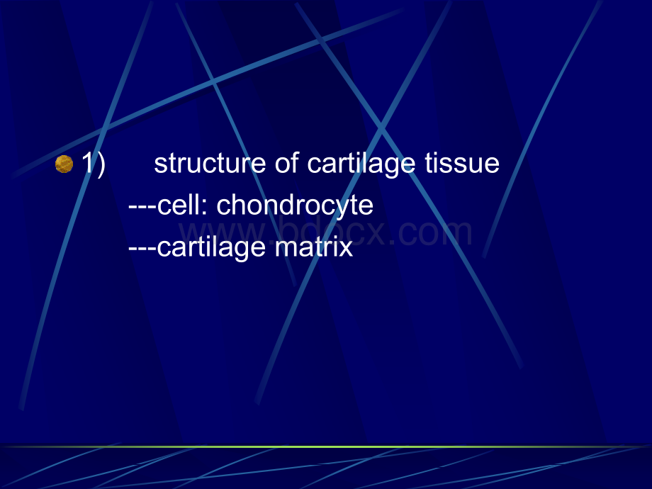 软骨和骨--组织学和胚胎学.ppt_第3页