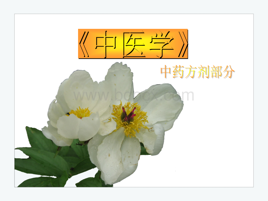 第一节中药的基本知识.ppt