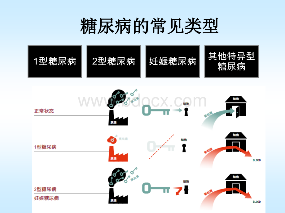 糖化血红蛋白PPT资料.ppt_第3页